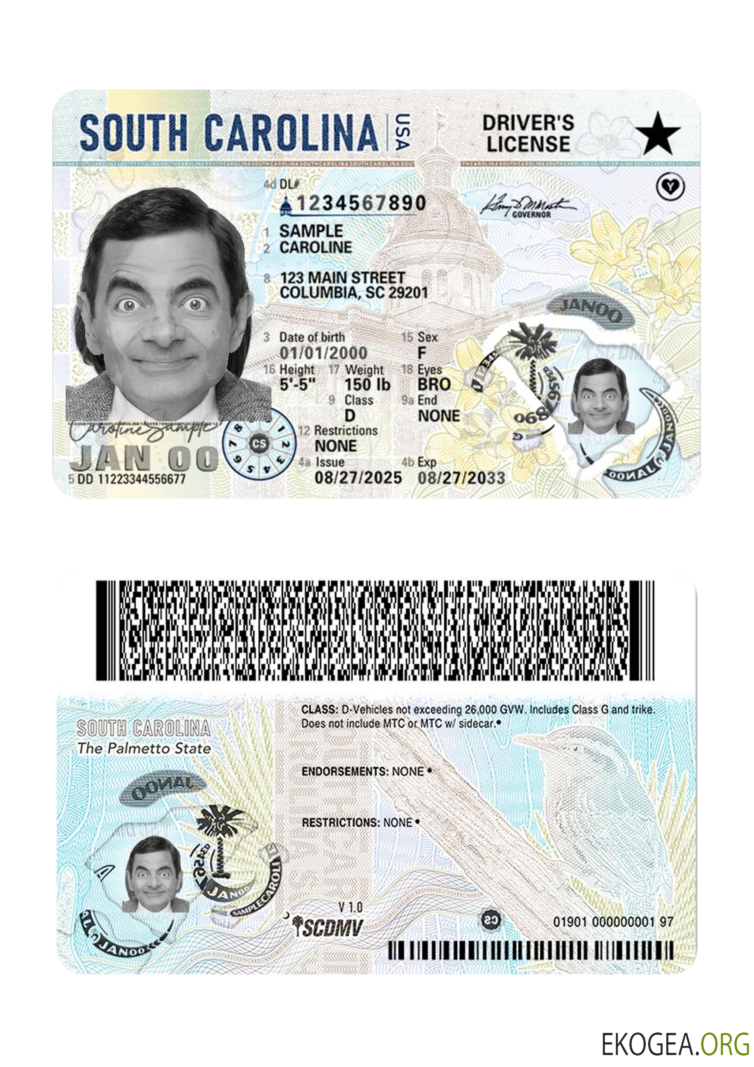 USA South Carolina driving license 2025 present